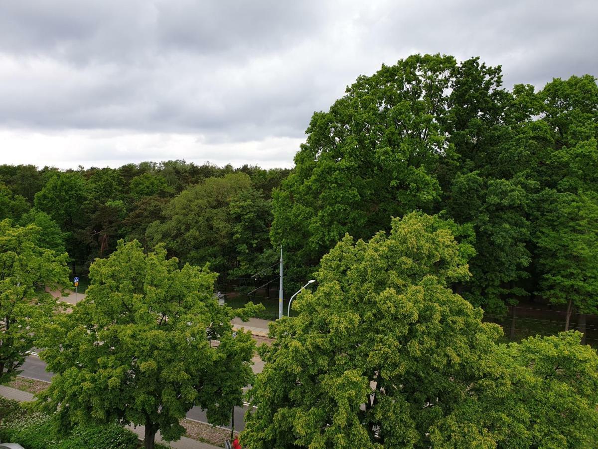 Apartament North Coast - Nad Morzem